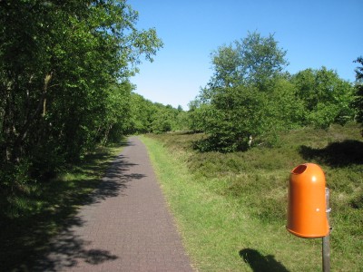 Radwege im Wäldchen 